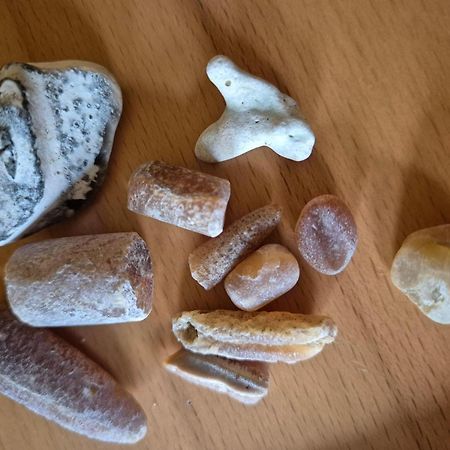 Ferienwohnung-Wildblume Petersdorf auf Fehmarn Dış mekan fotoğraf
