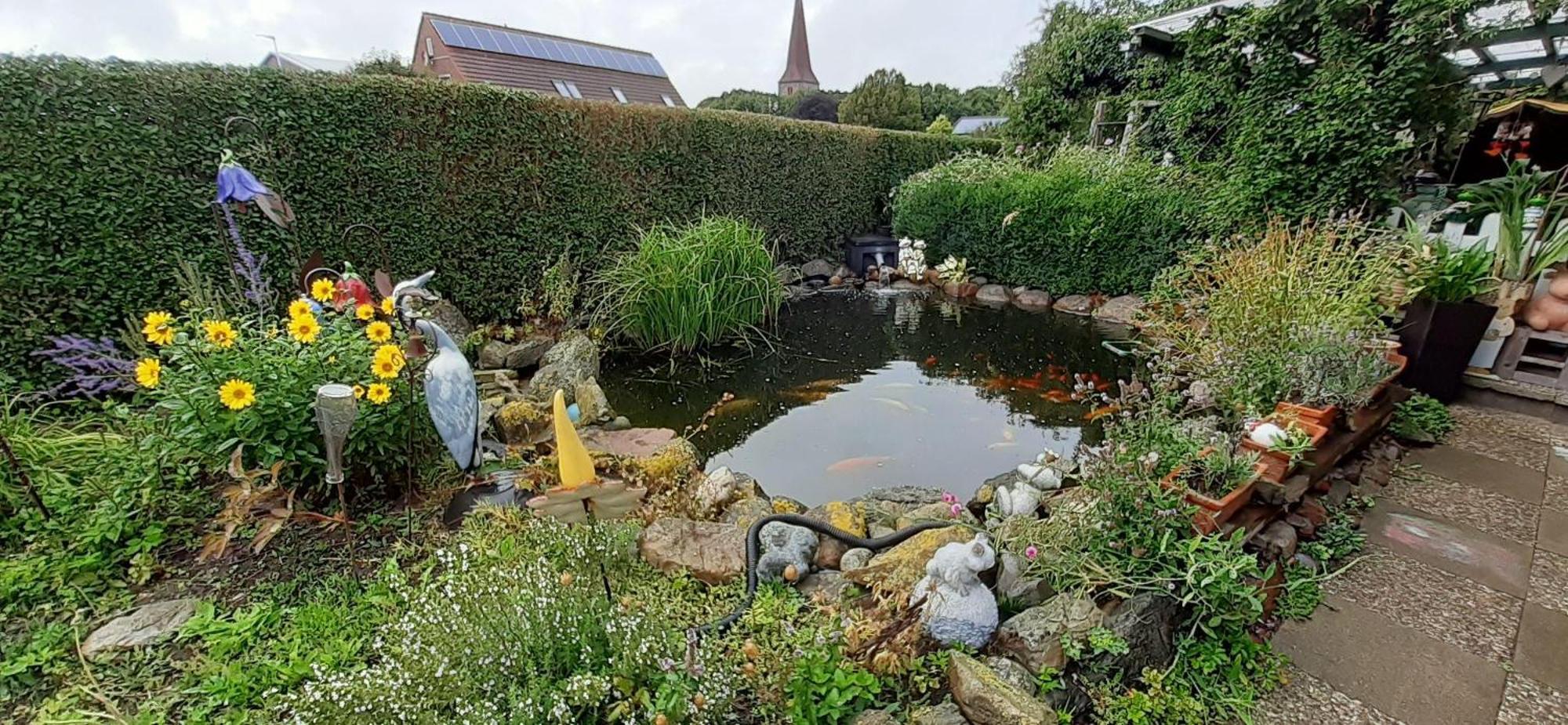 Ferienwohnung-Wildblume Petersdorf auf Fehmarn Dış mekan fotoğraf